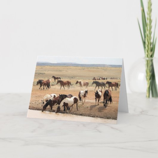 西の野生の口ひげ カード (正面)