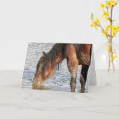 西の野生の口ひげ カード (黄色い花)