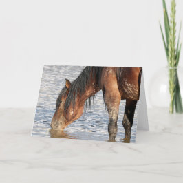 西の野生の口ひげ カード