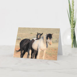 西の野生の口ひげ カード