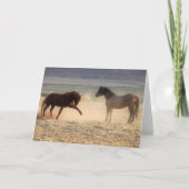 西の野生の口ひげ カード (正面)