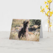 西の野生の口ひげ カード (黄色い花)