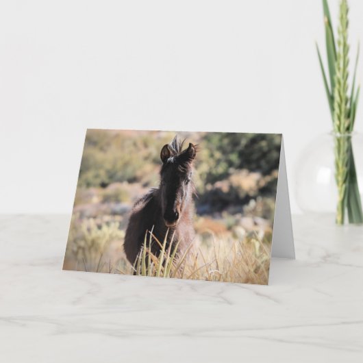 西の野生の口ひげ カード (正面)