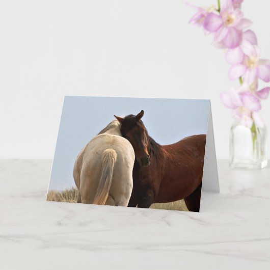 西の野生の口ひげ カード (蘭)