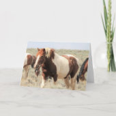 西の野生の口ひげ カード (正面)