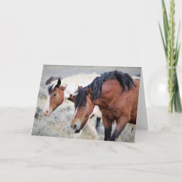 西の野生の口ひげ カード