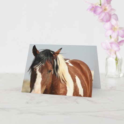 西の野生の口ひげ カード (蘭)