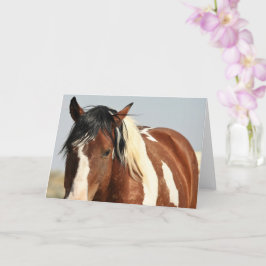 西の野生の口ひげ カード