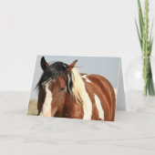 西の野生の口ひげ カード (正面)