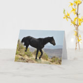 西の野生の口ひげ カード (黄色い花)