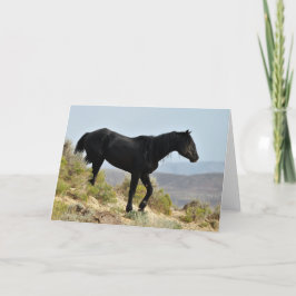 西の野生の口ひげ カード