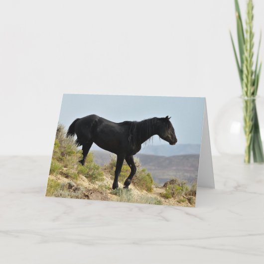 西の野生の口ひげ カード (正面)