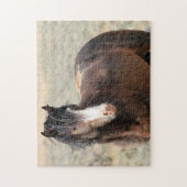 西の野生の口ひげ ジグソーパズル (縦)