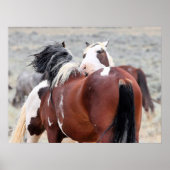 西の野生の口ひげ ポスター (正面)