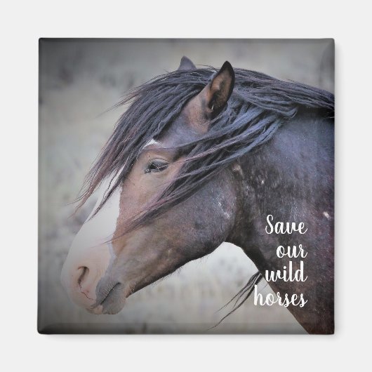 西の野生の口ひげ マグネット (正面)