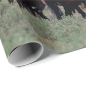 西の野馬 ラッピングペーパー (ロールコーナー)