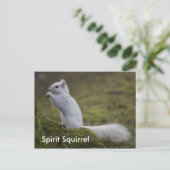 西の霊リス ポストカード (スタンド正面)