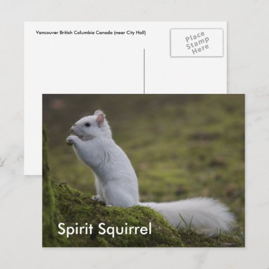 西の霊リス ポストカード (正面/裏面)