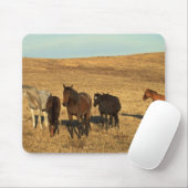西の馬の群れ マウスパッド (マウス)