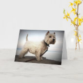 西の高地テリアカード カード (黄色い花)