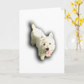 西の高地テリア カード (黄色い花)