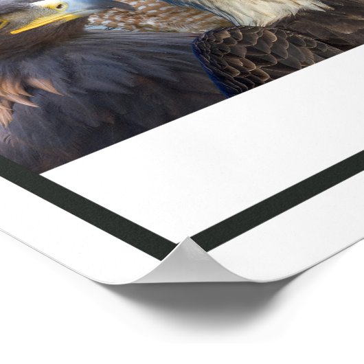 西の鳥 ポスター (角)