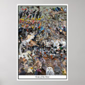 西の鳥 ポスター (正面)