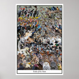 西の鳥 ポスター