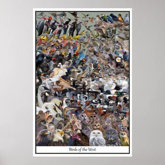 西の鳥 ポスター (正面)