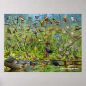 西の鳴鳥 ポスター (正面)