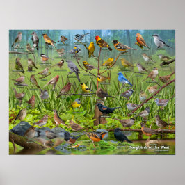 西の鳴鳥 ポスター