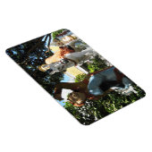 西への旅[サル魔法] マグネット (右側)