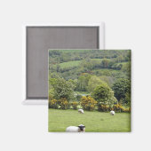 西アイルランド、ディングル半島、ブロード マグネット (正面/裏面)