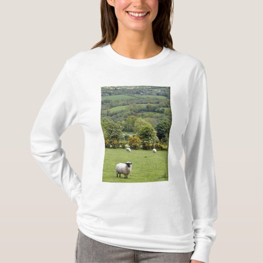 西アイルランド、ディングル半島、ブロード Tシャツ (正面)