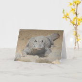 「西アフリカ矮小ワニ」誕生日カード カード (黄色い花)