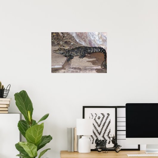 西アフリカ矮小岩 – オステオレメムス四頭筋 ポスター (ホームオフィス)