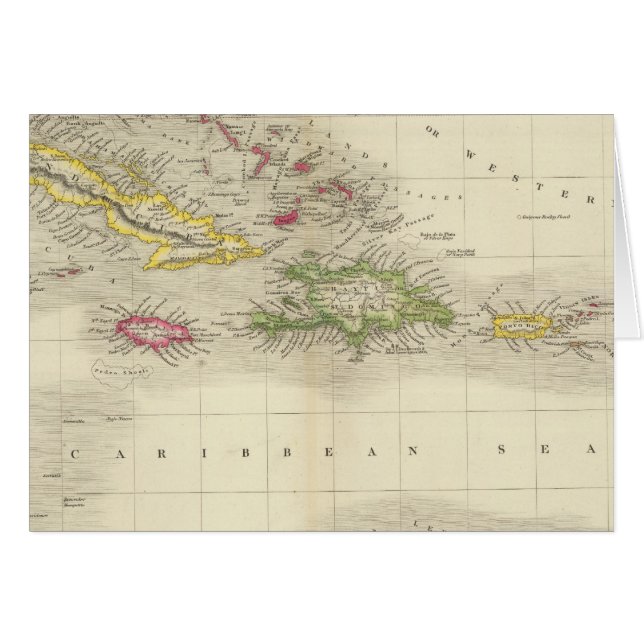 西インディ6 (正面横)