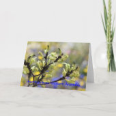 西オーストラリアのカードからの挨拶 カード (正面)