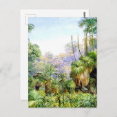 西オーストラリアの森林の風景 ポストカード (正面/裏面)