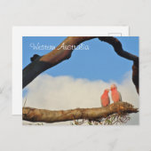 西オーストラリア産の鳥 シーズンポストカード (正面/裏面)