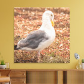 西カモメ キャンバスプリント (インサイチュ (リビング))