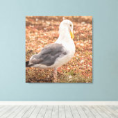 西カモメ キャンバスプリント (インサイチュ (ウッドフロア))