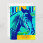 西カラフル馬 ポストカード (正面/裏面)