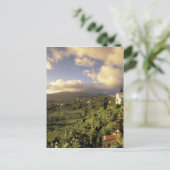 西カリブのインディフランスの、マルティニーク。 ポストカード (スタンド正面)