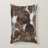 西カントリーコウィドブラウンレザー アクセントクッション (正面(垂直))