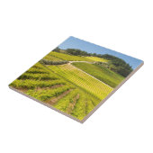 西ケープ州ステレンボス·ヴィンヤード タイル (側面)