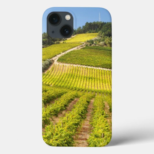 西ケープ州ステレンボス·ヴィンヤード Case-Mate iPhoneケース (裏面)