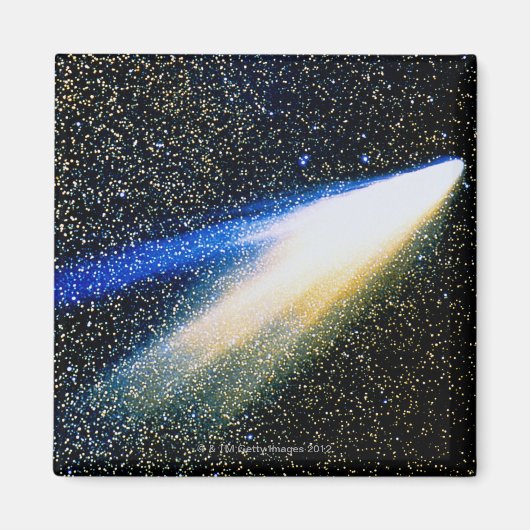 西コメット マグネット (正面)