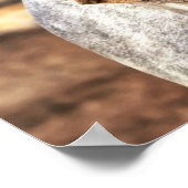 西サドルオングレーホース ポスター (角)