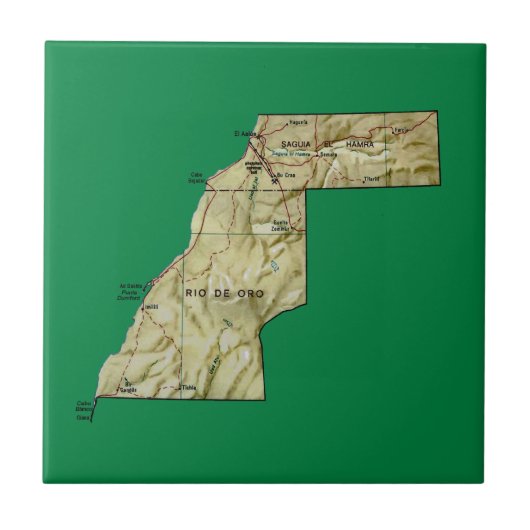 西サハラ地図タイル タイル (正面)